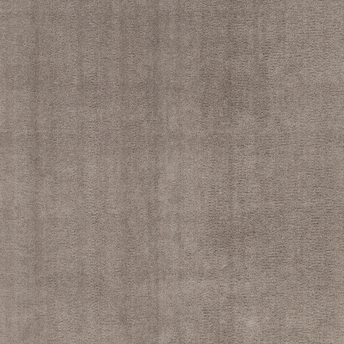 Teppich Xilento Wassy Taupe Greige