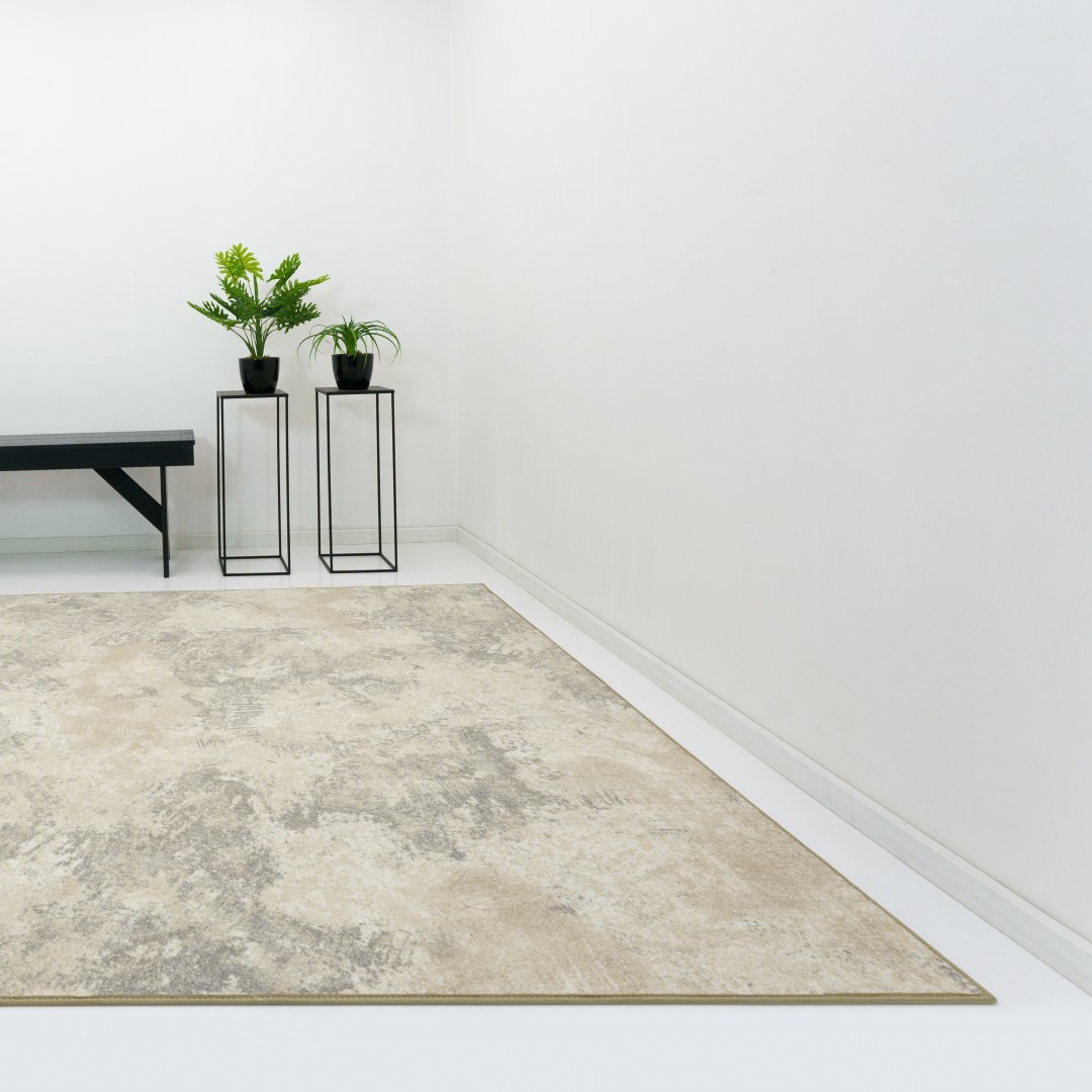 Teppich Xilento Blush Eifenbein Grau | 200 x 300 cm