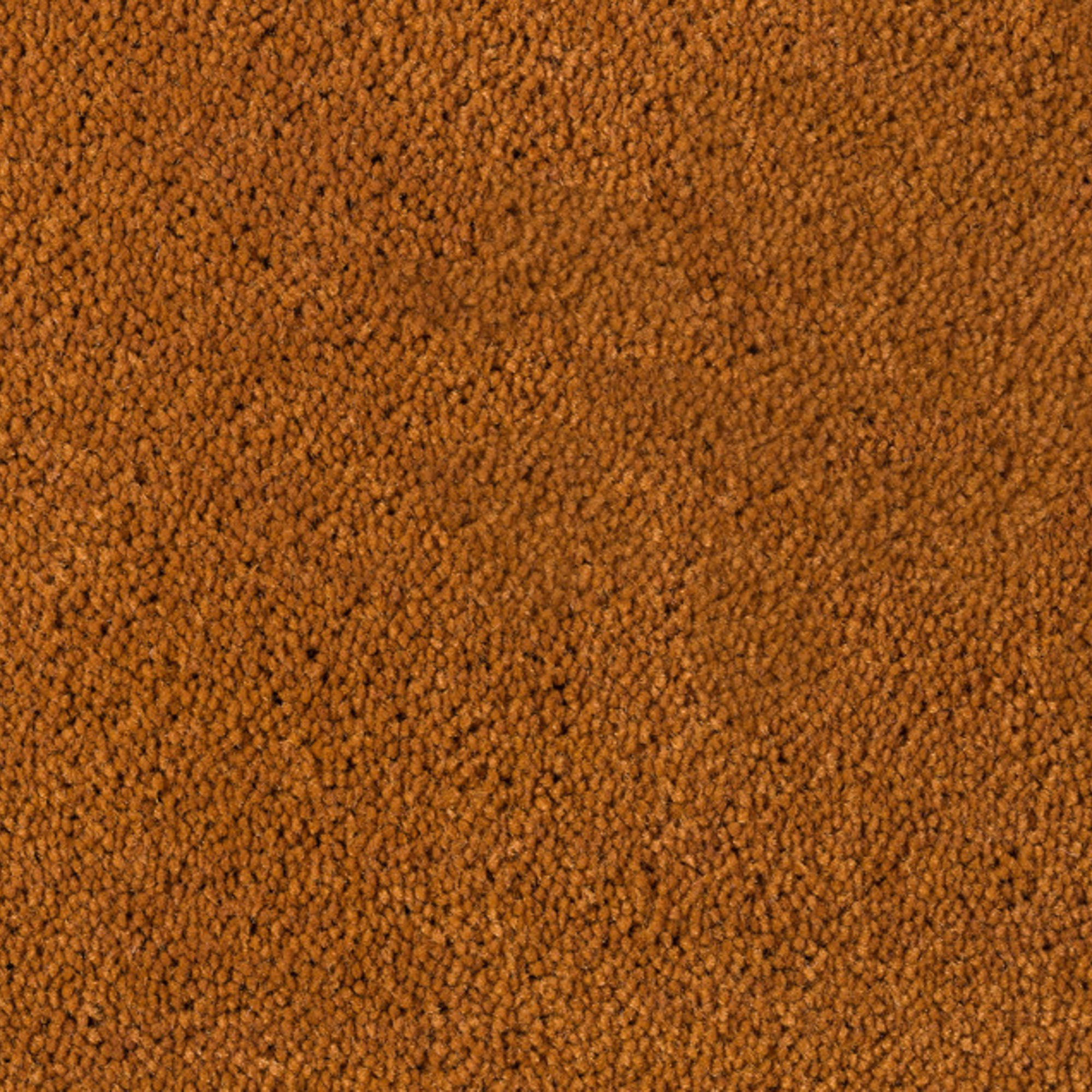 Teppich Desso Asteranne 2068