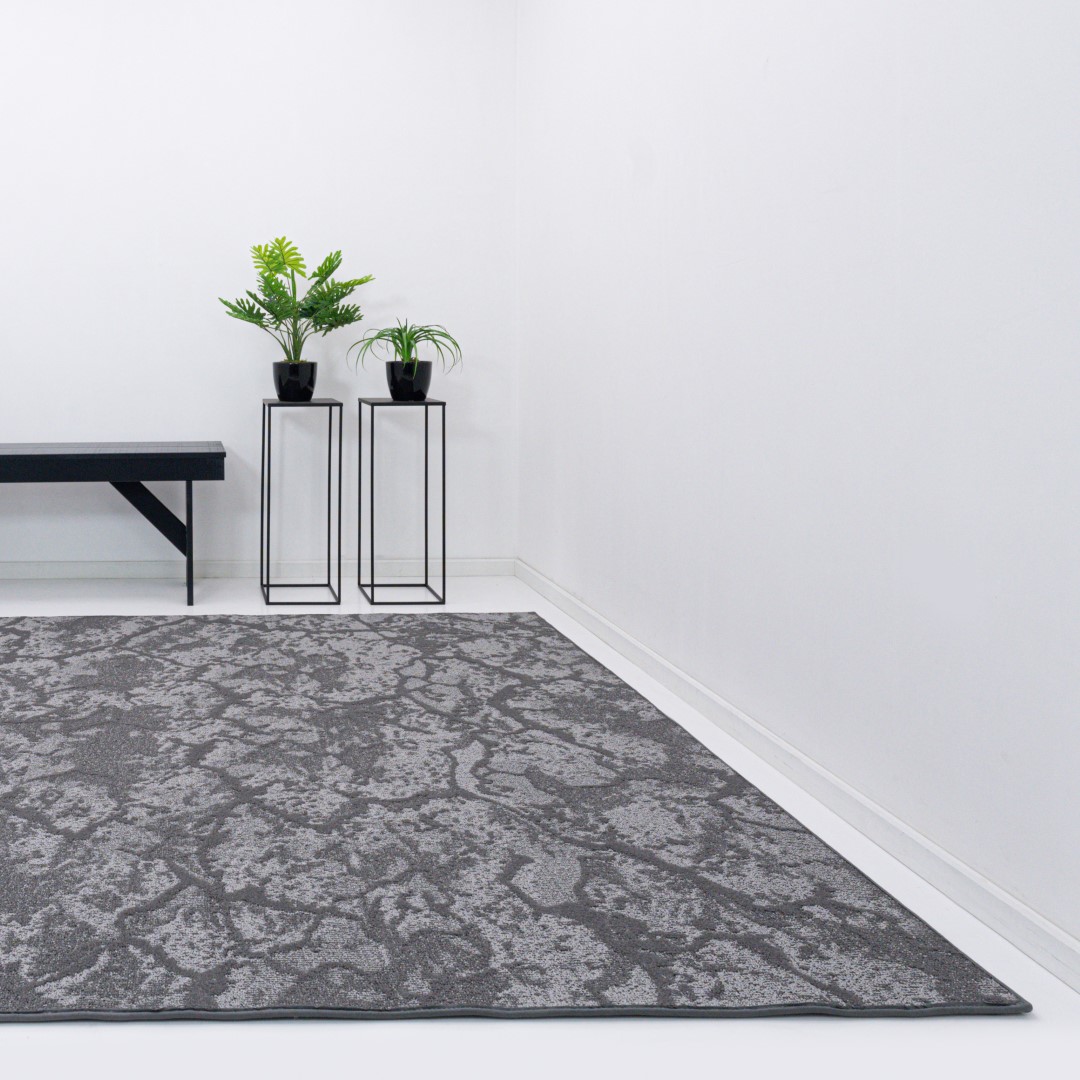 Teppich Xilento Discovery Grau | 200 x 300 cm