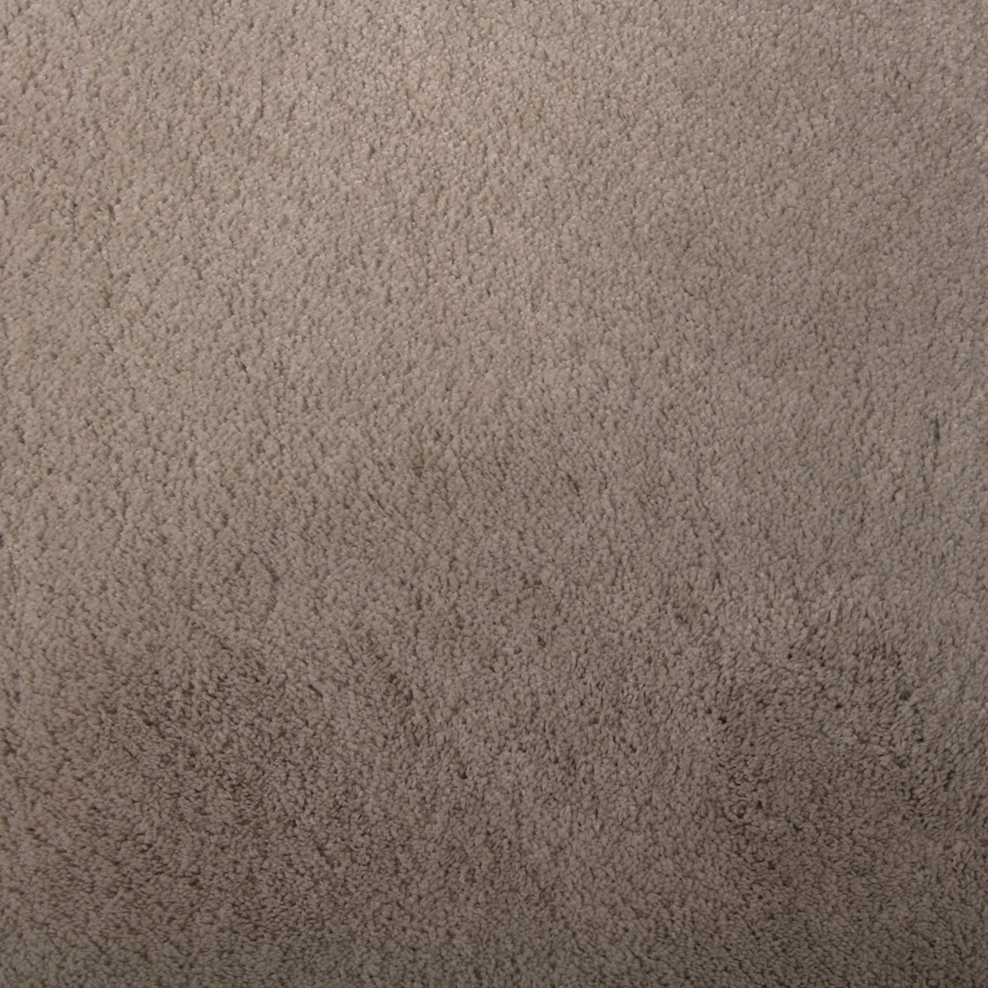Teppich Xilento Touch Klassisch Beige (extra weich)